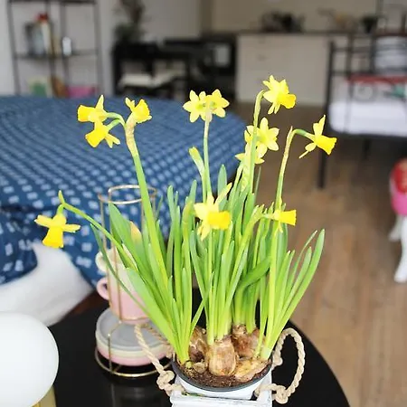 Chopsticks ゲストハウス